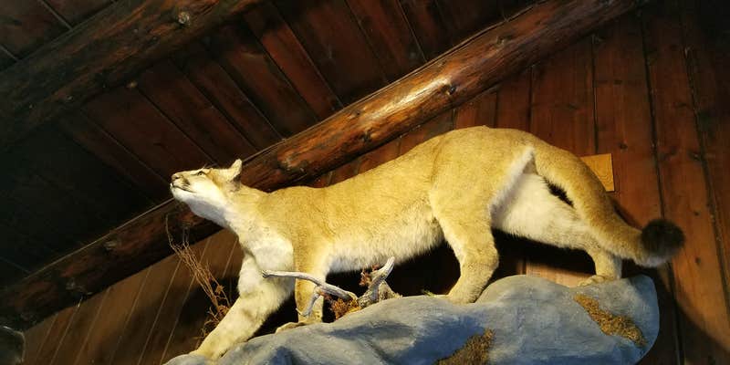 Camper submitted image from Stockade North Campground — Custer State Park