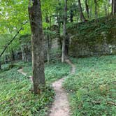 Review photo of Six Pines Campground — Backbone State Park by Amanda C., September 4, 2020