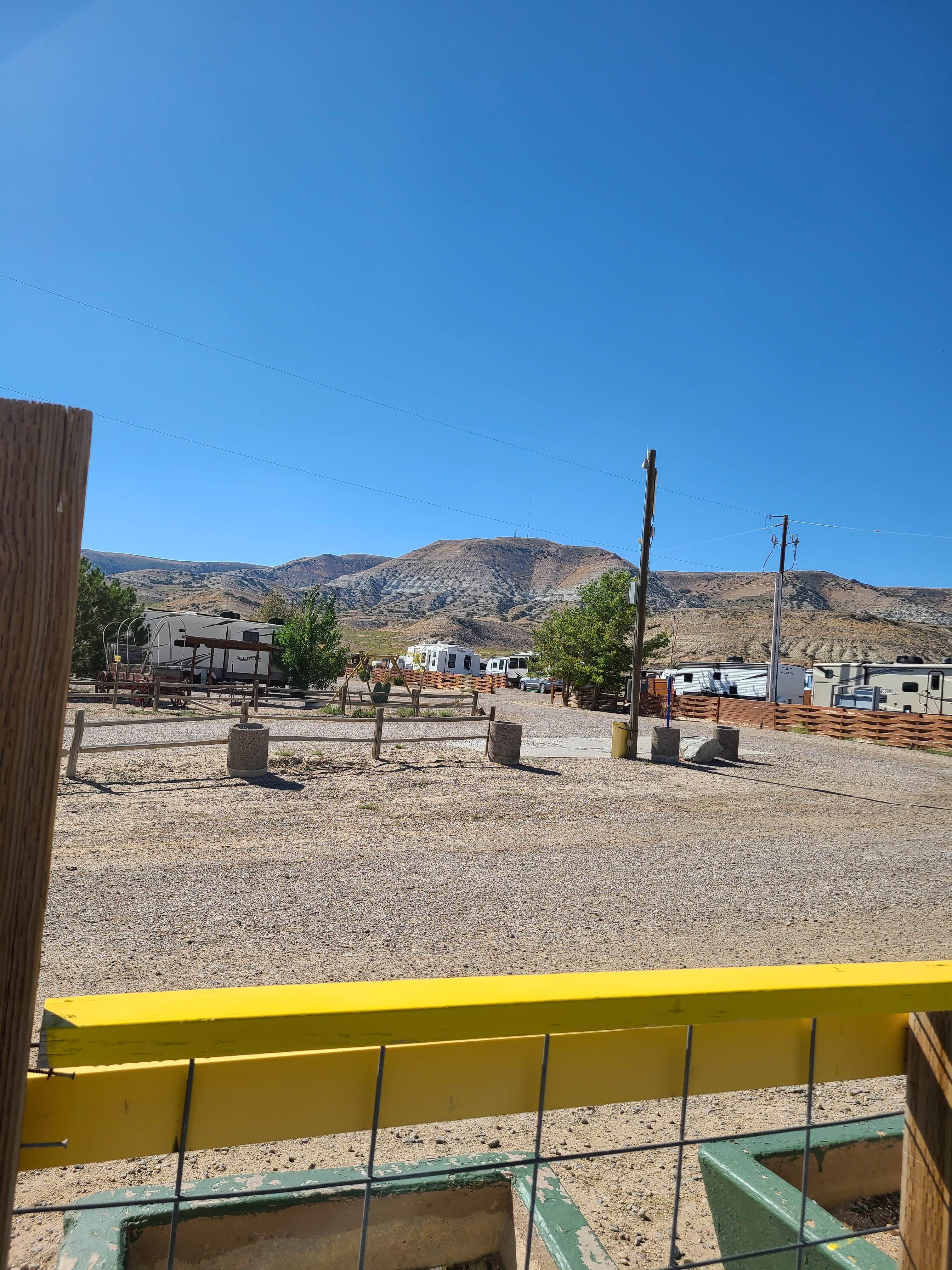 View All