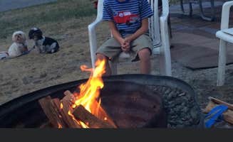 Debra B.'s photo of camping with pets at Sterling State Park Campground near Dearborn Heights, MI