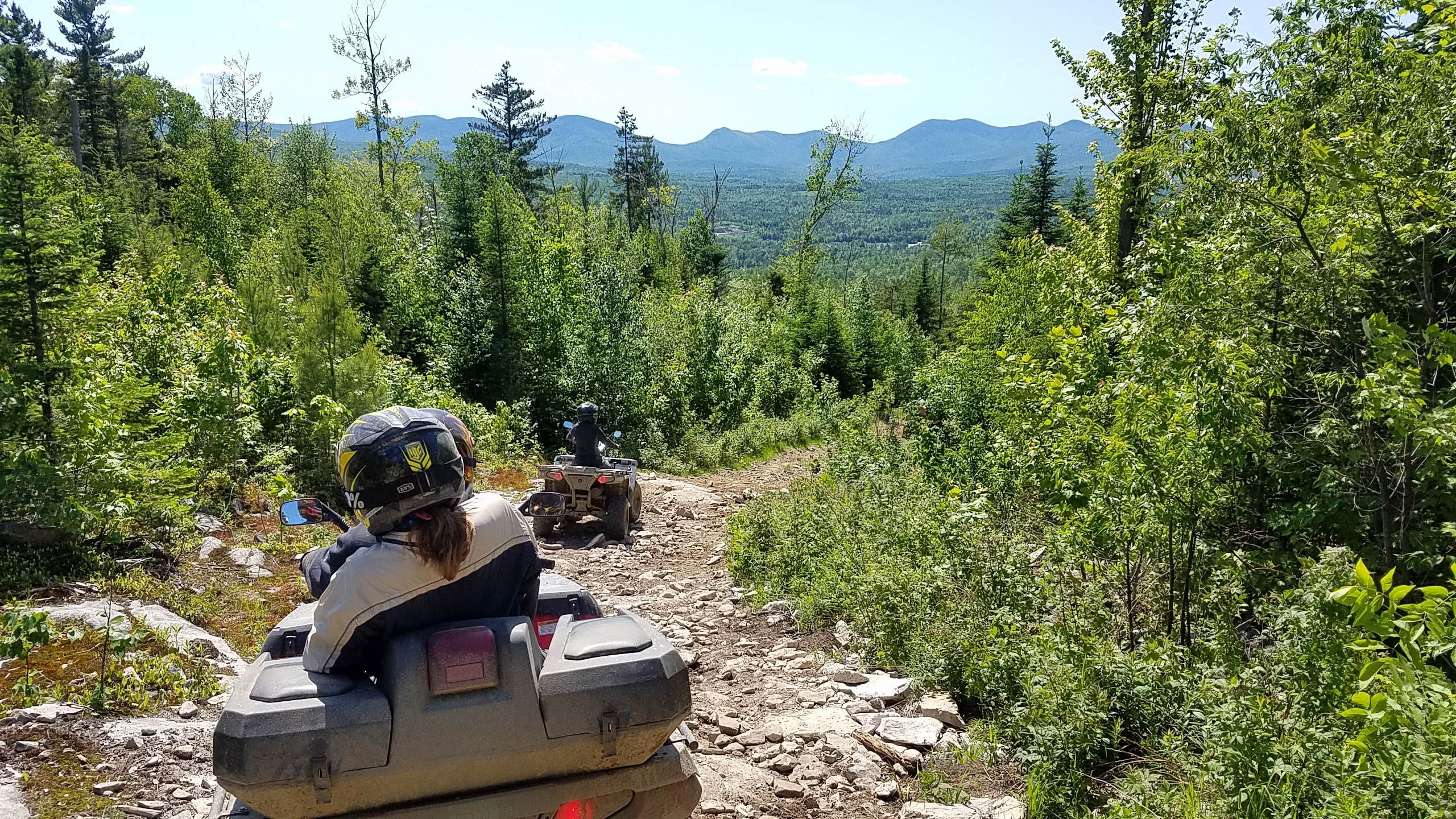 View All