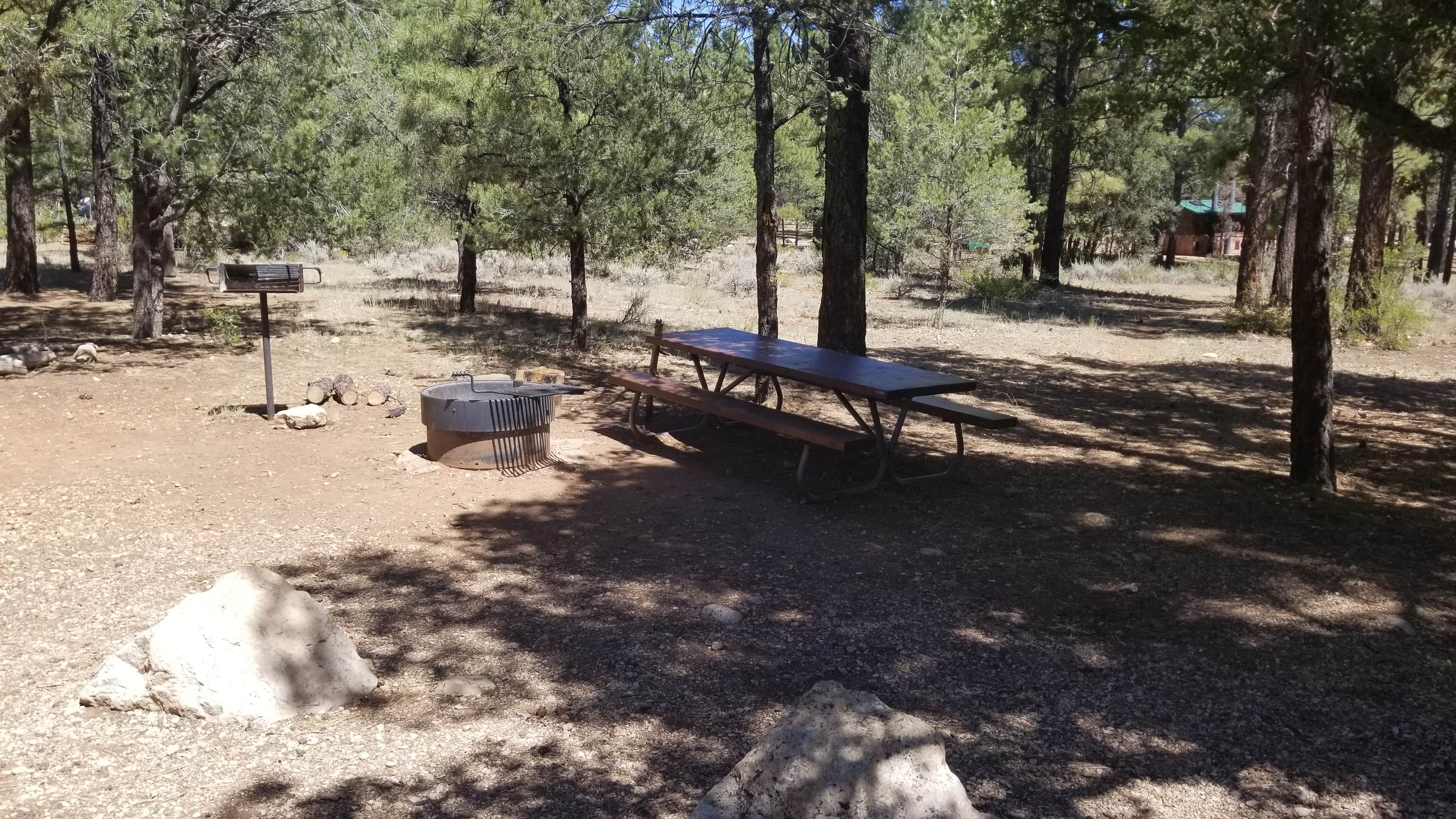 Camper-submitted photo at Tusayan-Montane — Grand Canyon National Park near Supai, AZ