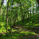 Review photo of Willow River State Park Campground by Kim , September 4, 2020