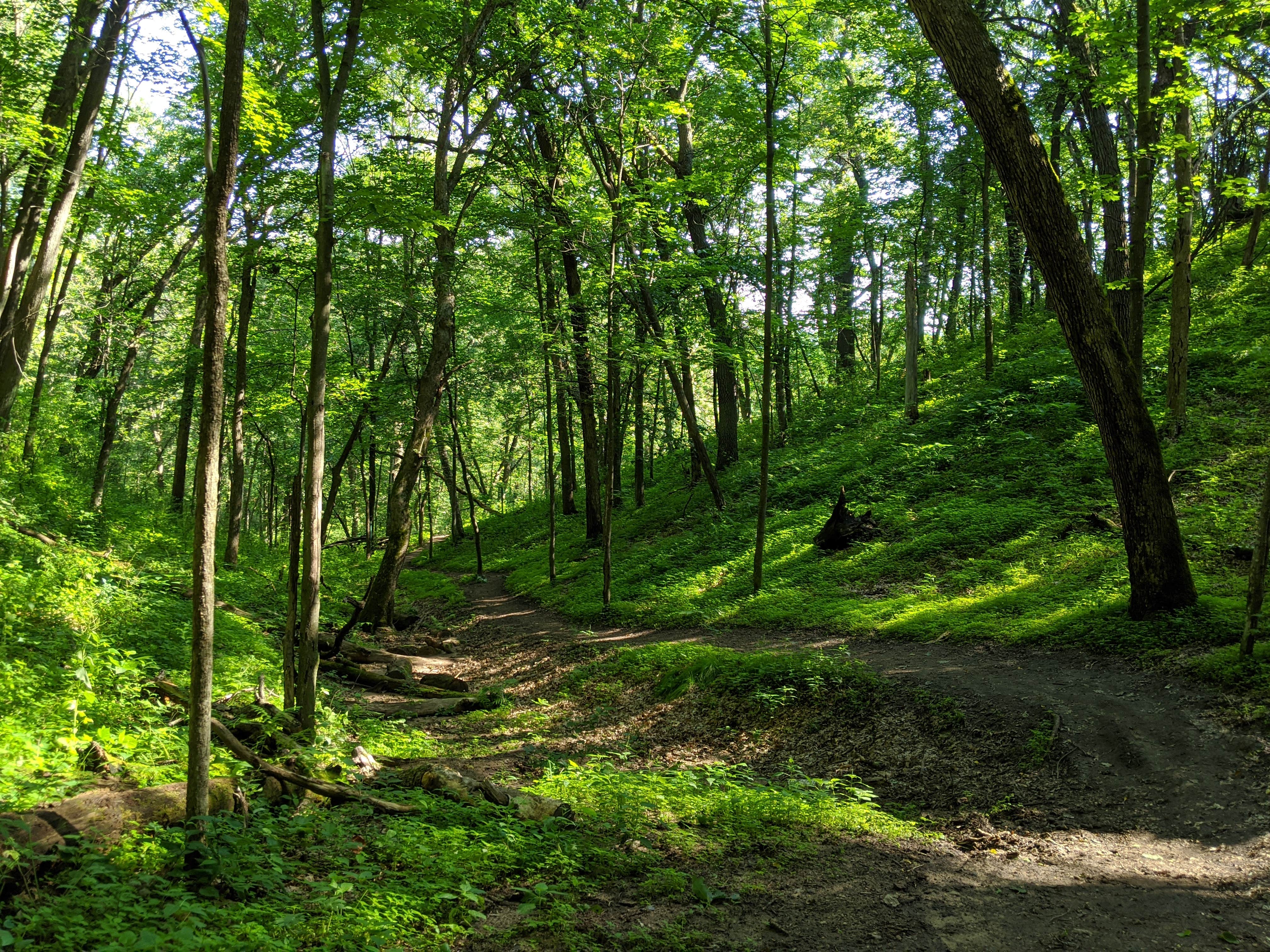 Miles of beautiful hiking trails
