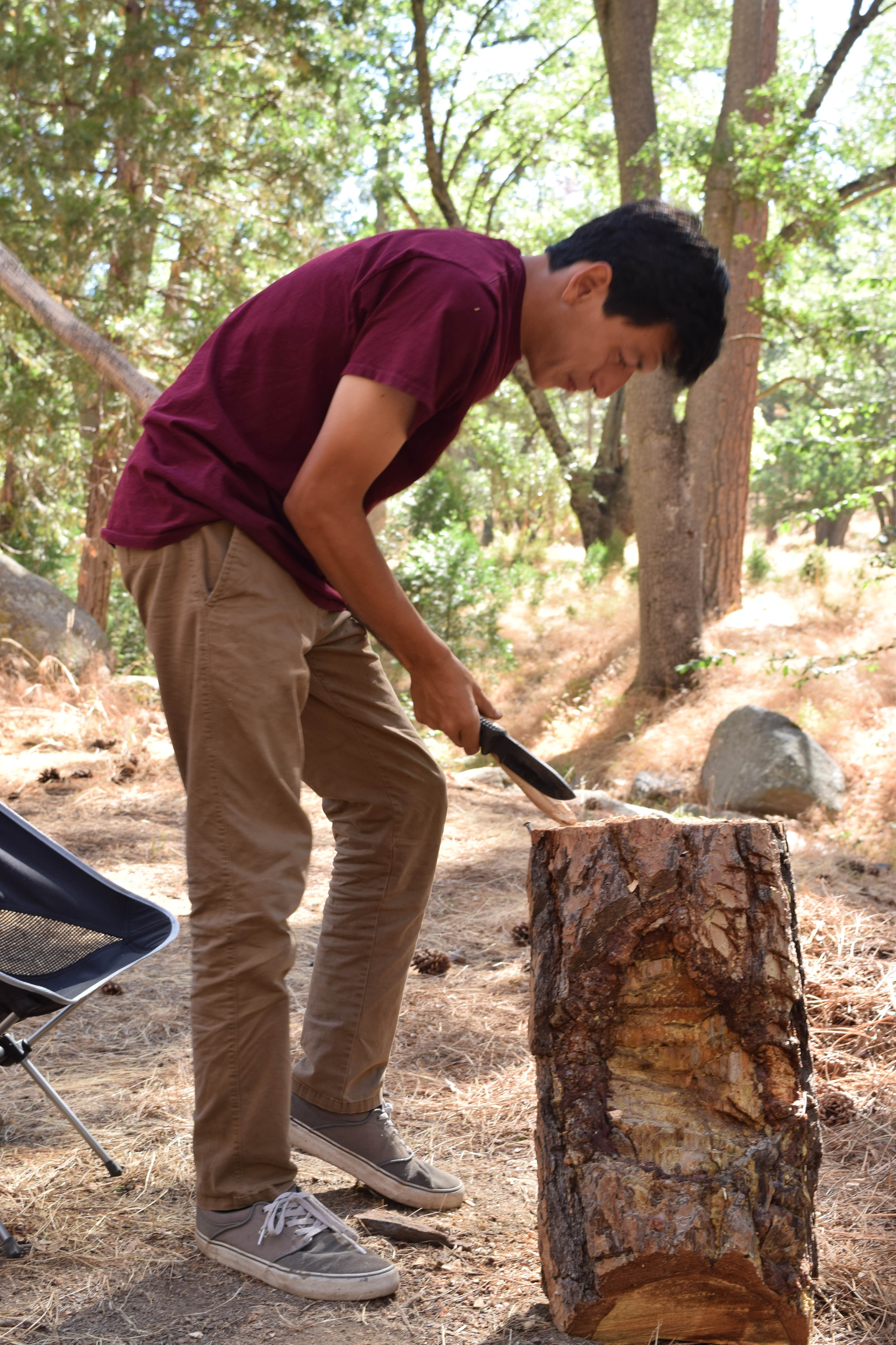 Camper submitted image from Alder Creek Campground - Tentatively closed for 2022 - 4