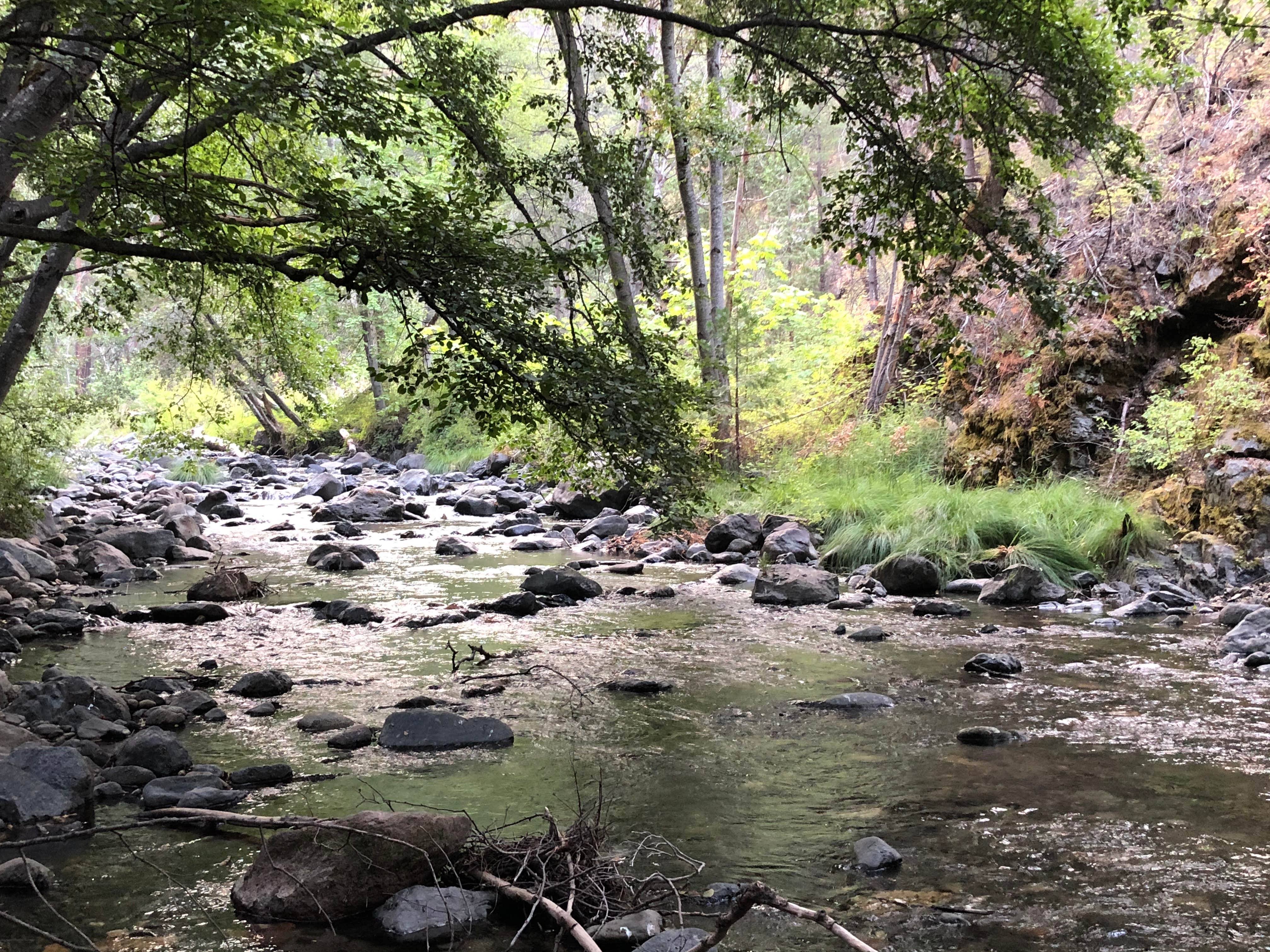 Camper submitted image from Beaver Creek Campground - 3