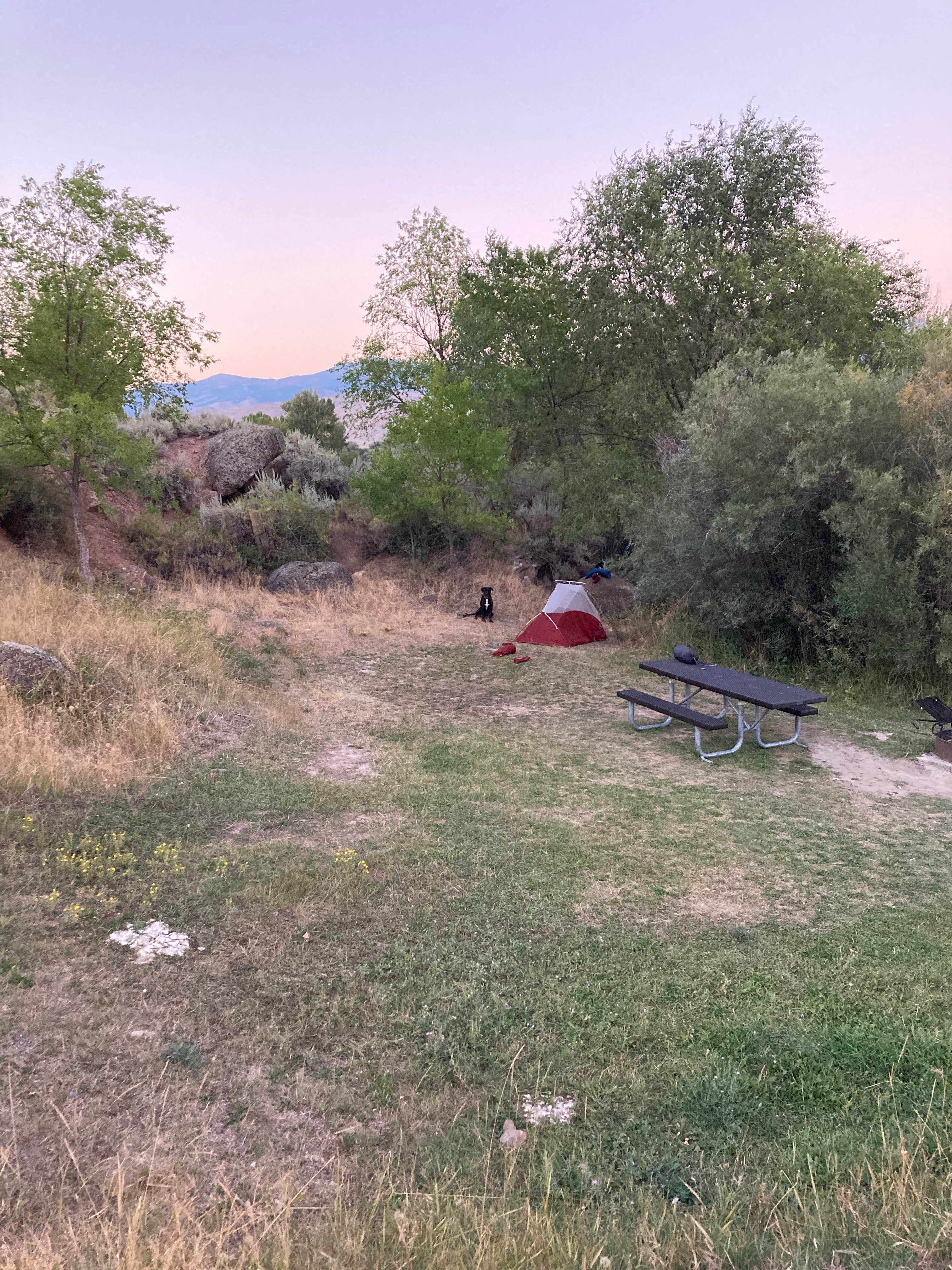 Camden P.'s photo at Morgan Bar Campground near Carmen, ID