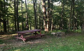 Camping near Keen Lake Resort Campground: Shady Rest Campground, Kingsley, Pennsylvania