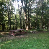 Review photo of Shady Rest Campground by Kasey M., September 4, 2020