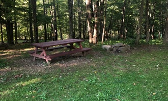 Camping near Oh! Pear Orchards: Shady Rest Campground, Kingsley, Pennsylvania