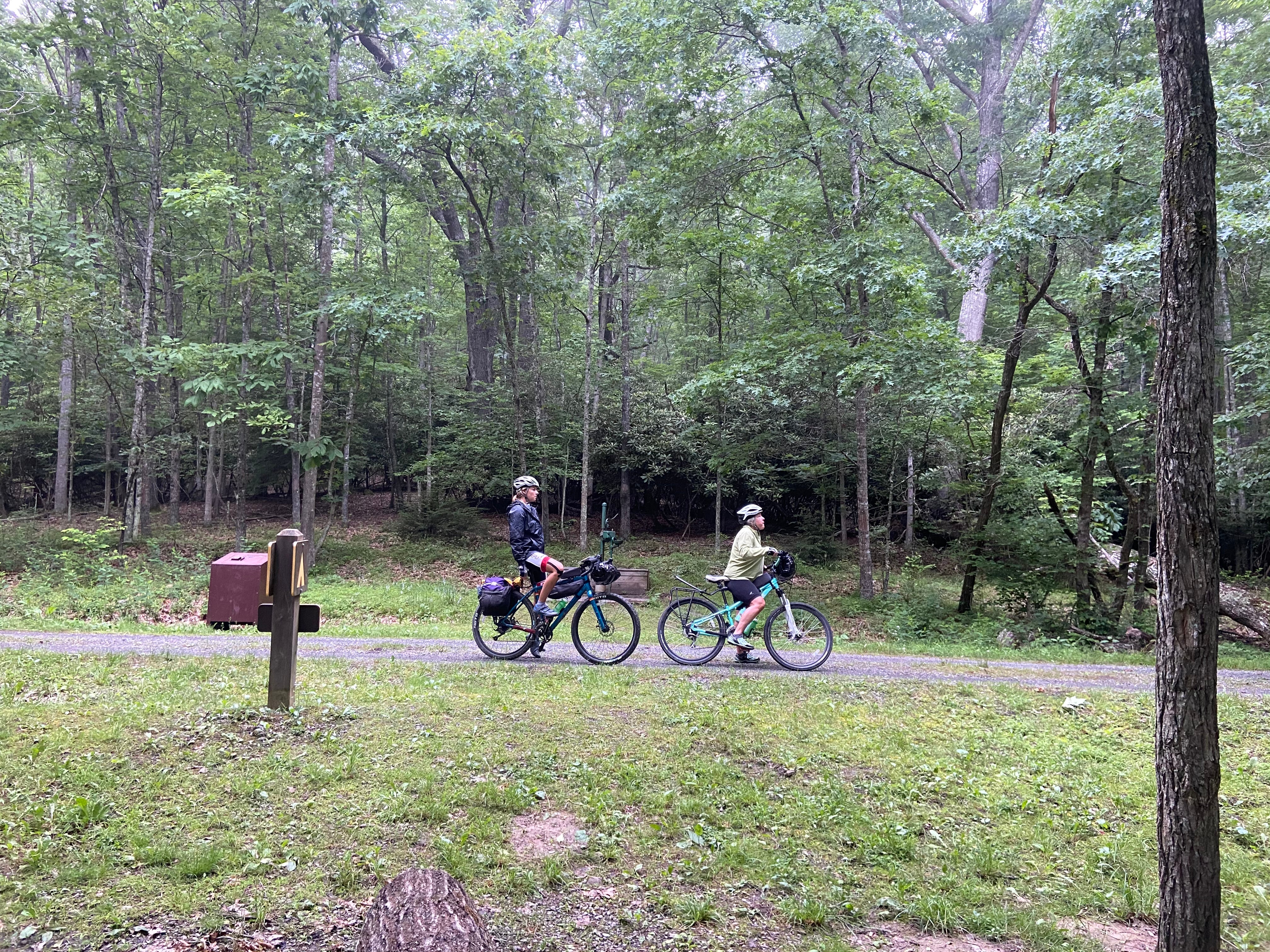 Camper submitted image from Greenbrier River Trail Mile Post 28.5 Primitive Campsite - 5