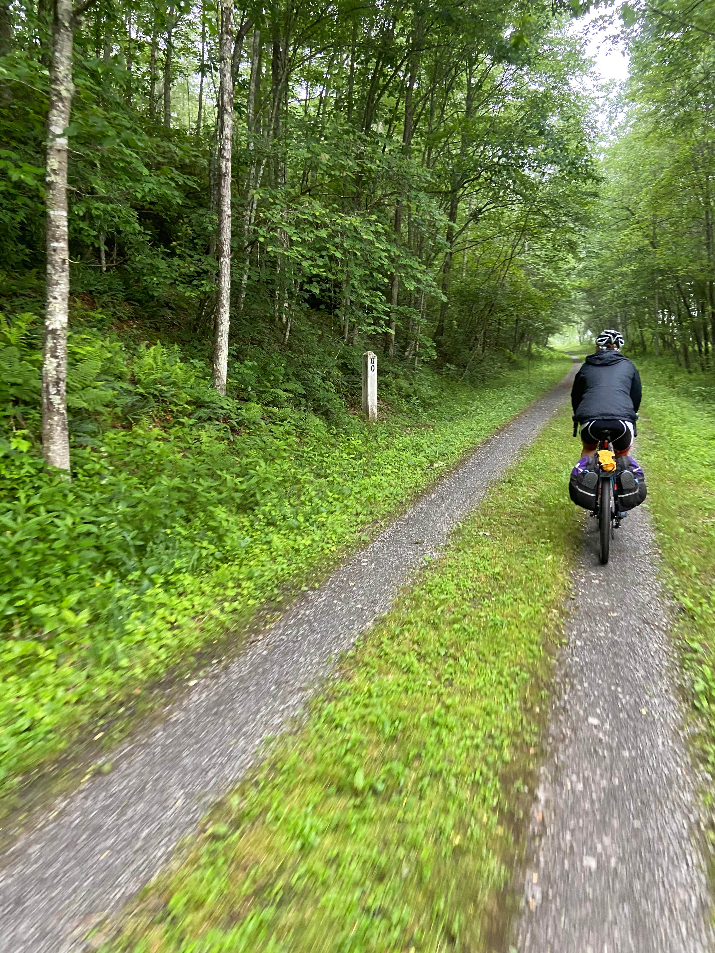 Camper submitted image from Greenbrier River Trail Mile Post 28.5 Primitive Campsite - 4