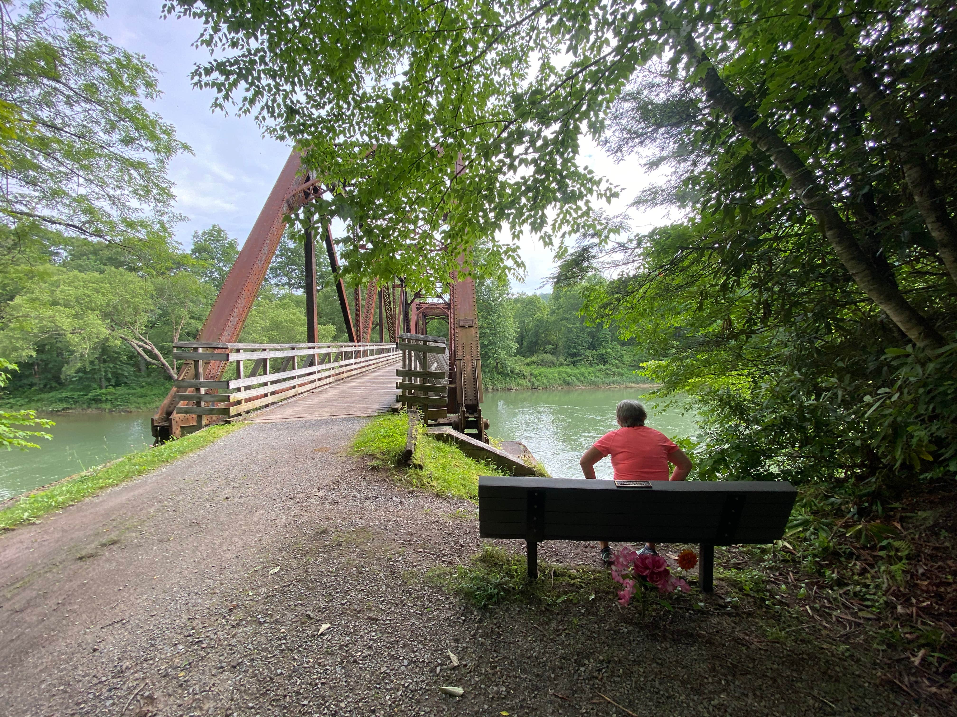 Camper submitted image from Greenbrier River Trail Mile Post 28.5 Primitive Campsite - 3