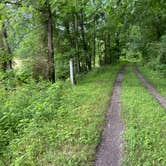 Review photo of Greenbrier River Trail Mile Post 28.5 Primitive Campsite by Dave V., September 5, 2020