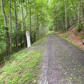 Review photo of Greenbrier River Trail Mile Post 28.5 Primitive Campsite by Dave V., September 5, 2020