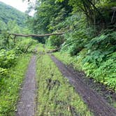 Review photo of Greenbrier River Trail Mile Post 28.5 Primitive Campsite by Dave V., September 5, 2020