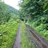 Review photo of Greenbrier River Trail Mile Post 28.5 Primitive Campsite by Dave V., September 5, 2020