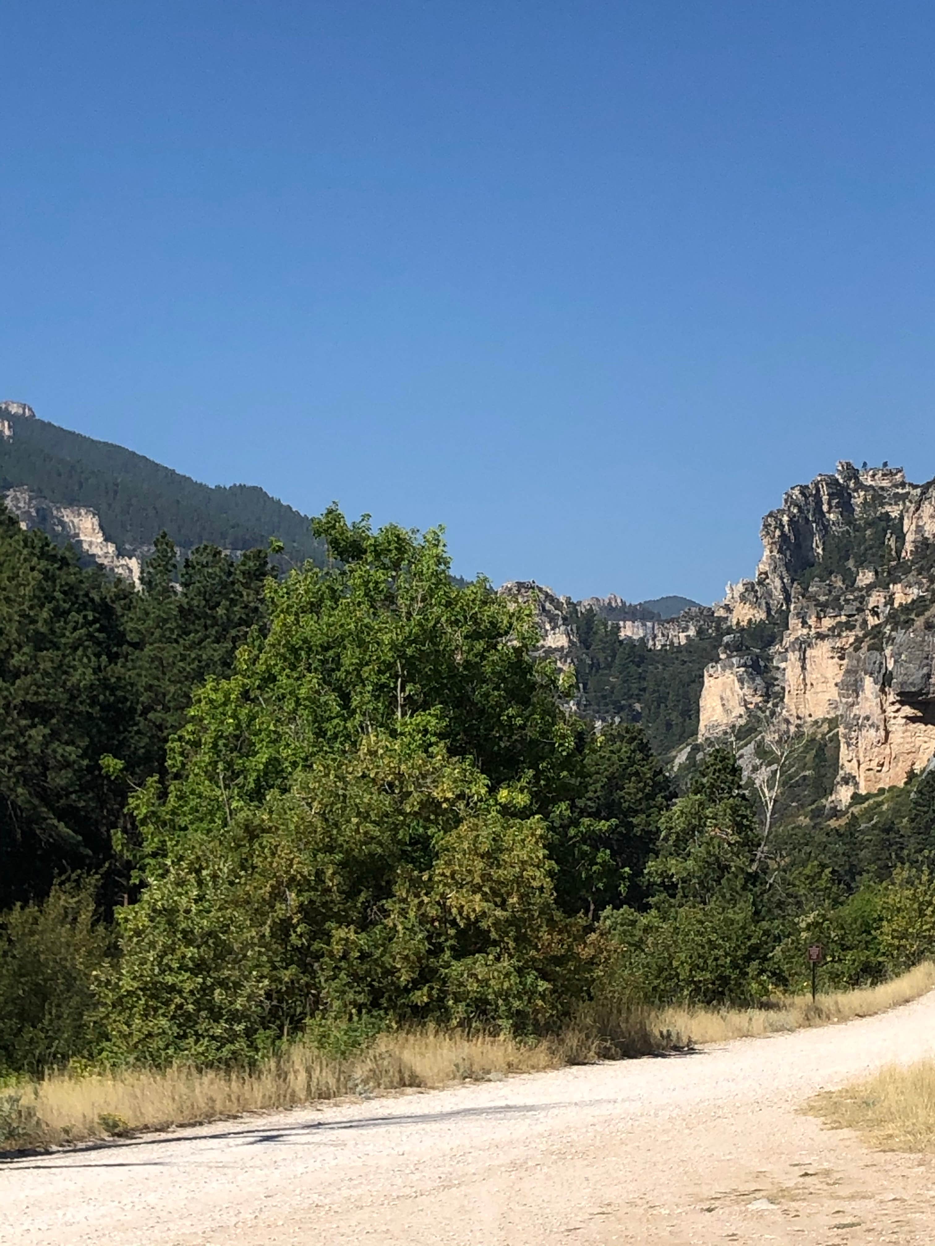Camper-submitted photo at Tongue River Campground near Wolf, WY