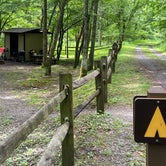 Review photo of Greenbrier River Trail Mile Post 28.5 Primitive Campsite by Dave V., September 5, 2020
