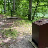 Review photo of Greenbrier River Trail Mile Post 28.5 Primitive Campsite by Dave V., September 5, 2020