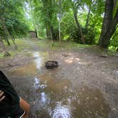 Review photo of Greenbrier River Trail Mile Post 28.5 Primitive Campsite by Dave V., September 5, 2020