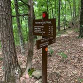 Review photo of Big Ridge State Park Campground by Nate H., September 5, 2020