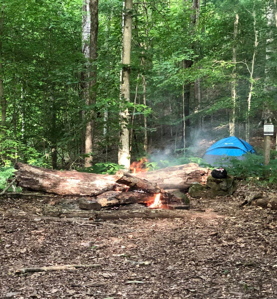 Nate H.'s photo at Big Ridge State Park Campground in Tennessee