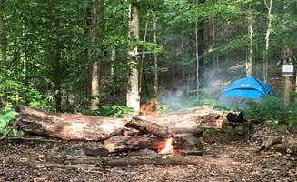 Nate H.'s photo at Big Ridge State Park Campground in Tennessee