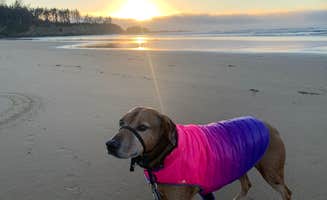 Sara S.'s photo of camping with pets at Sun Outdoors Coos Bay near Siuslaw National Forest