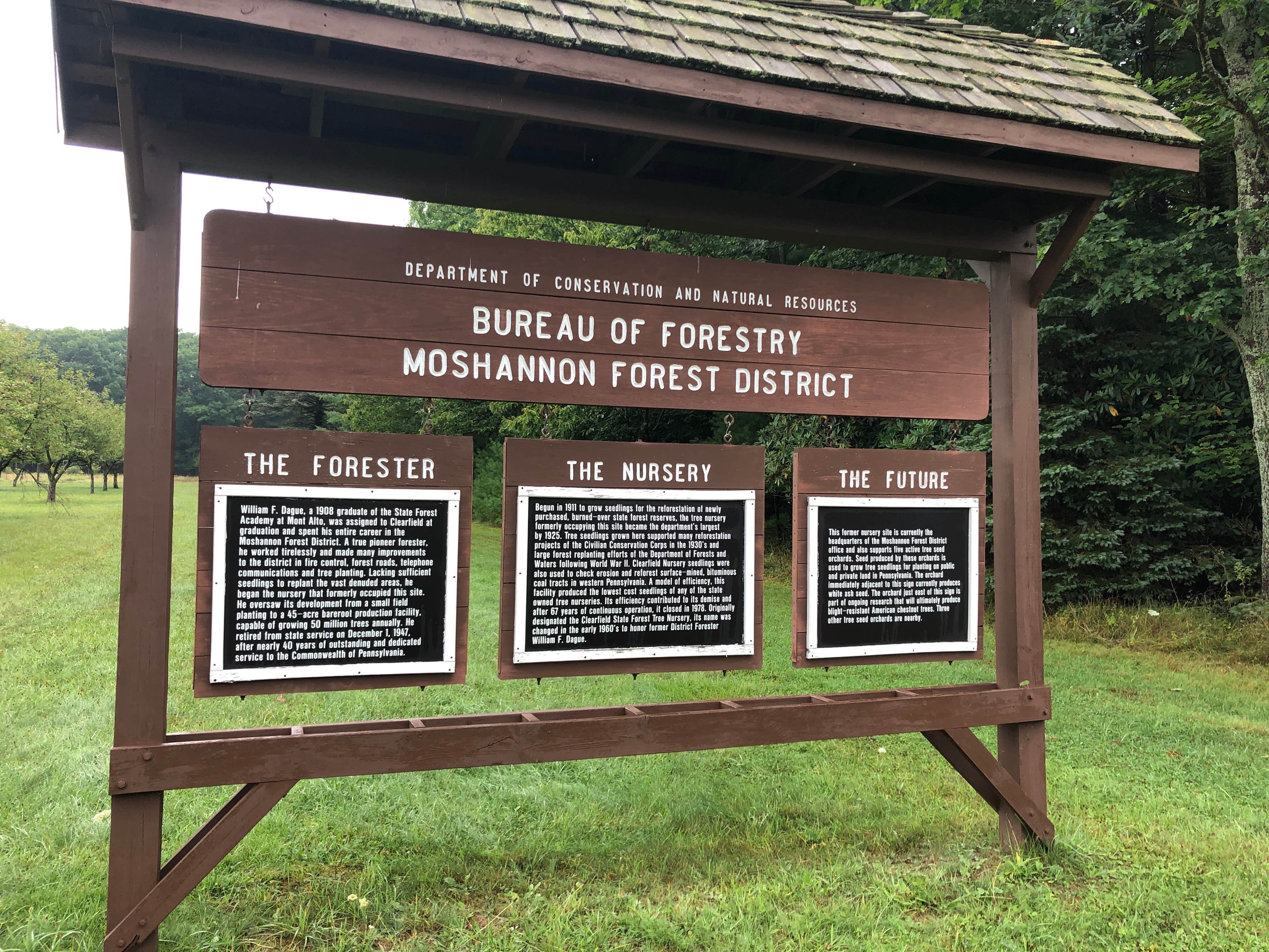 Camper-submitted photo at Simon B. Elliott State Park Campground near Falls Creek, PA