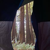Review photo of Burlington Campground — Humboldt Redwoods State Park by Taylor A., September 5, 2020