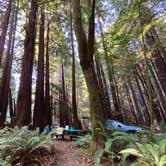 Review photo of Burlington Campground — Humboldt Redwoods State Park by Taylor A., September 5, 2020