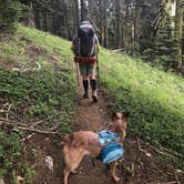 Review photo of Willow Springs Trail by Jenny R., May 13, 2018