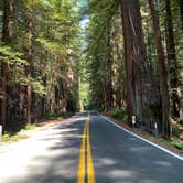 Review photo of Burlington Campground — Humboldt Redwoods State Park by Taylor A., September 5, 2020