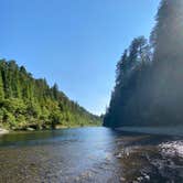 Review photo of Burlington Campground — Humboldt Redwoods State Park by Taylor A., September 5, 2020