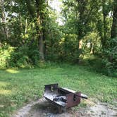 Review photo of Sangchris Lake State Park Campground by Susan L., September 5, 2020