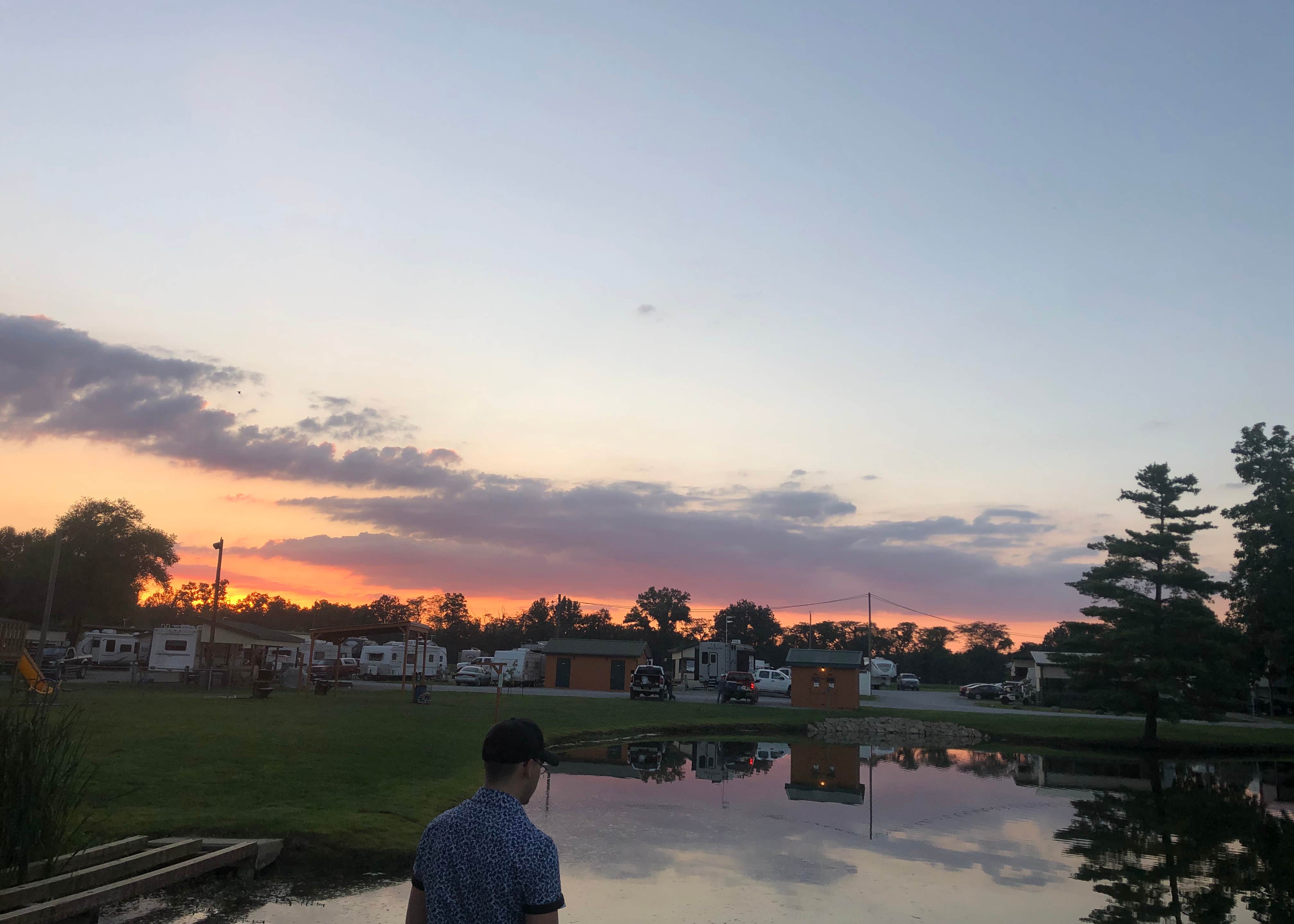 View All