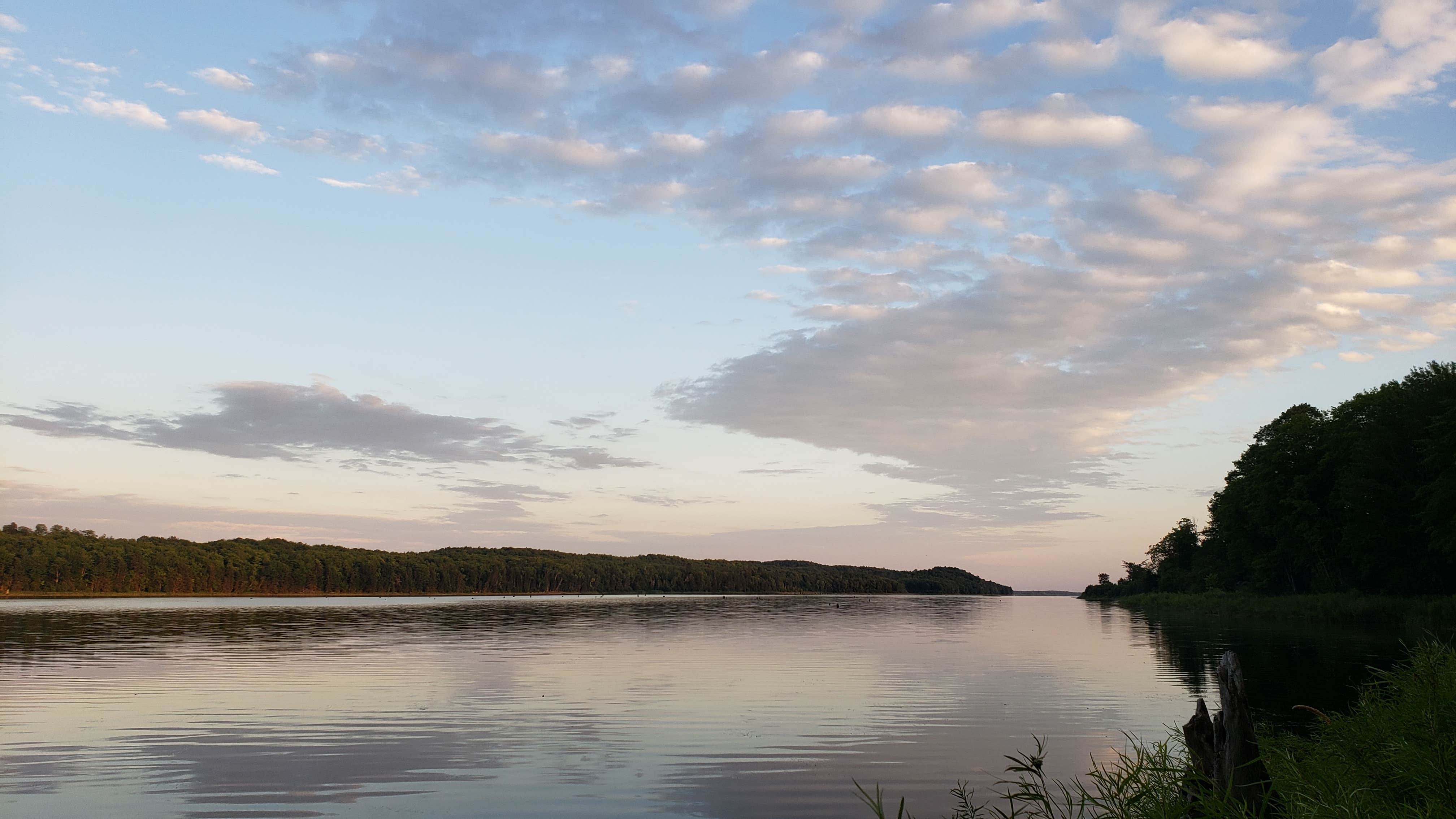 Forest Lake State Forest Campground | The Dyrt