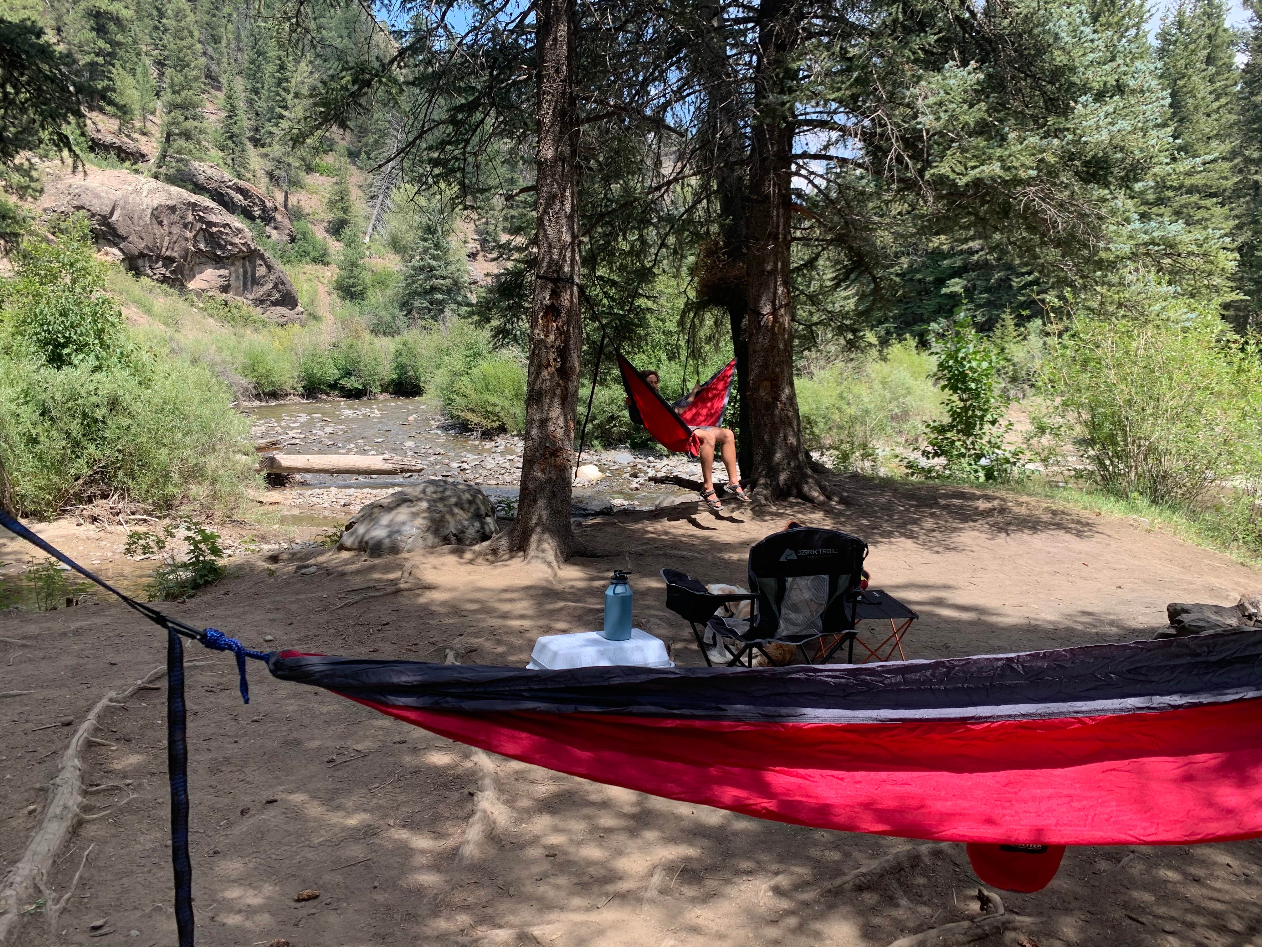 Camper submitted image from Del Norte Dispersed Camping - 4