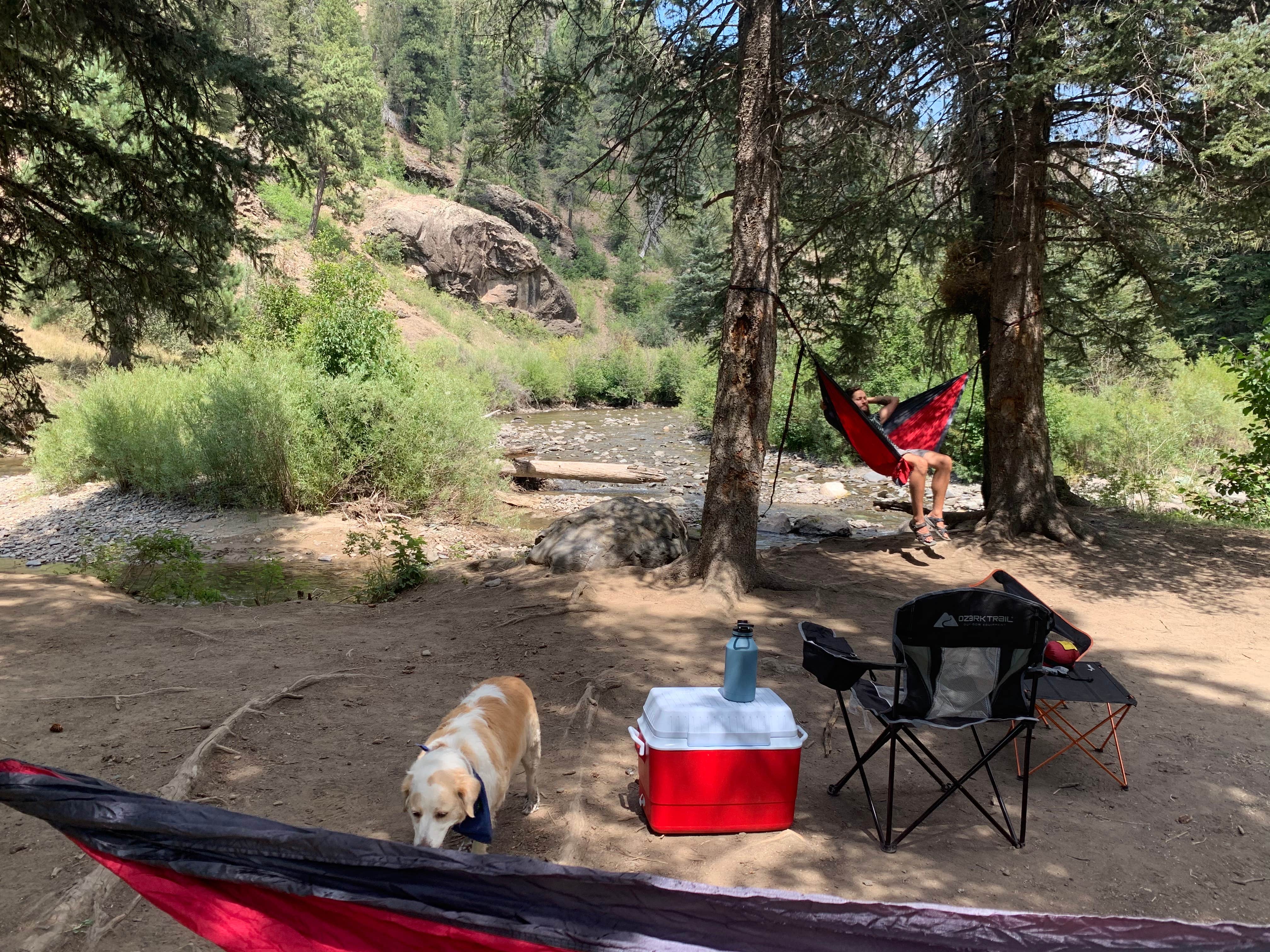Nathan  P.'s photo of camping with pets at Del Norte Dispersed Camping near Pagosa Springs, CO