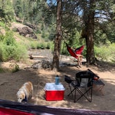 Review photo of Del Norte Dispersed Camping  by Nathan  P., September 5, 2020