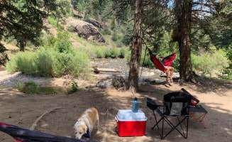 Nathan P.'s photo at Del Norte Dispersed Camping in Colorado