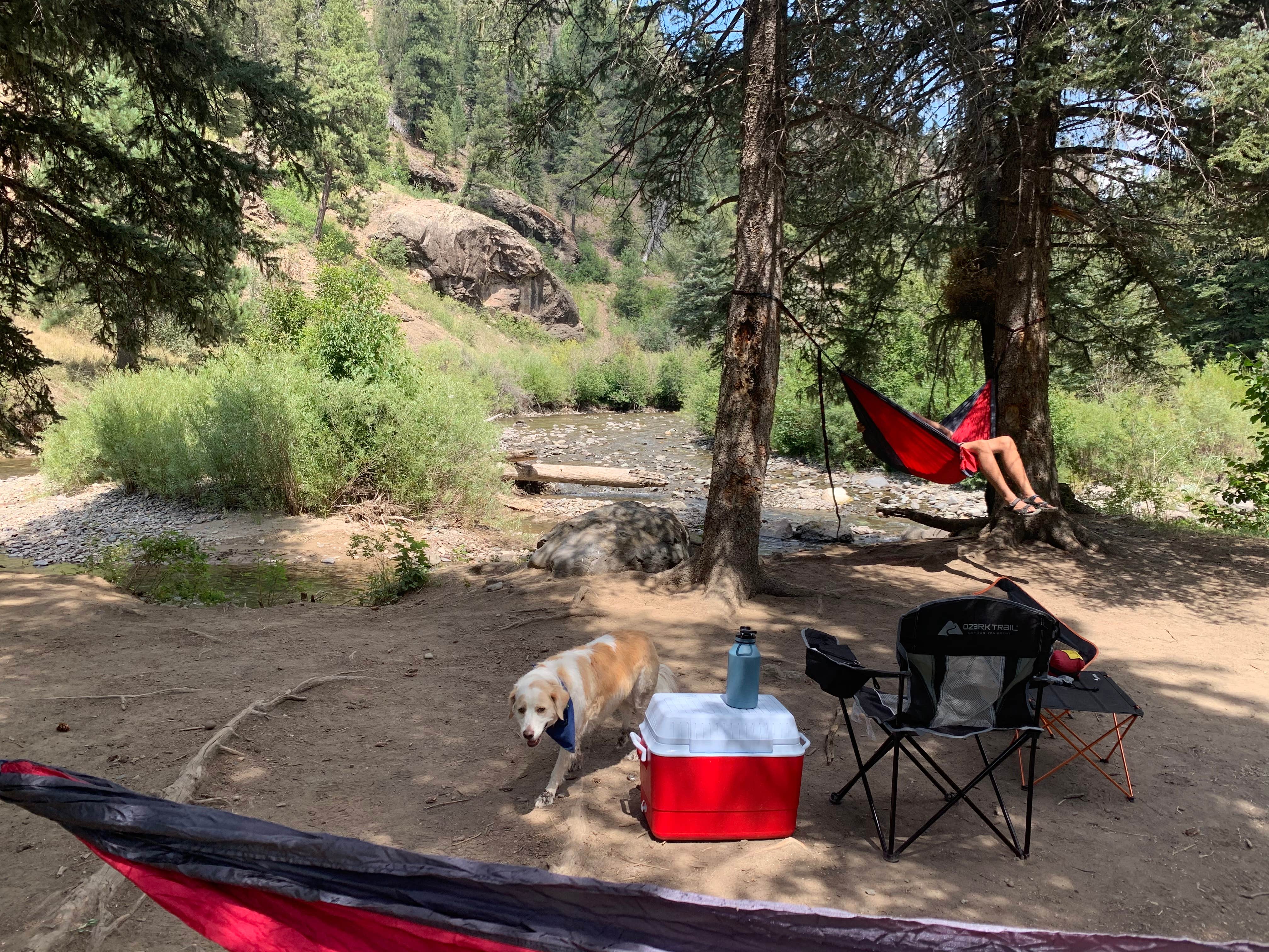 Nathan  P.'s photo at Del Norte Dispersed Camping near Pagosa Springs, CO