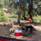 Review photo of Del Norte Dispersed Camping by Nathan  P., September 5, 2020