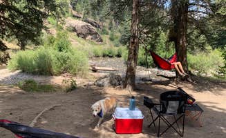 Nathan P.'s photo of camping with pets at Del Norte Dispersed Camping near Pagosa Springs, CO