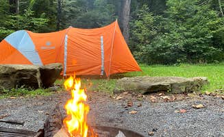 Matthew's photo at North Creek Campground near Huddleston, VA