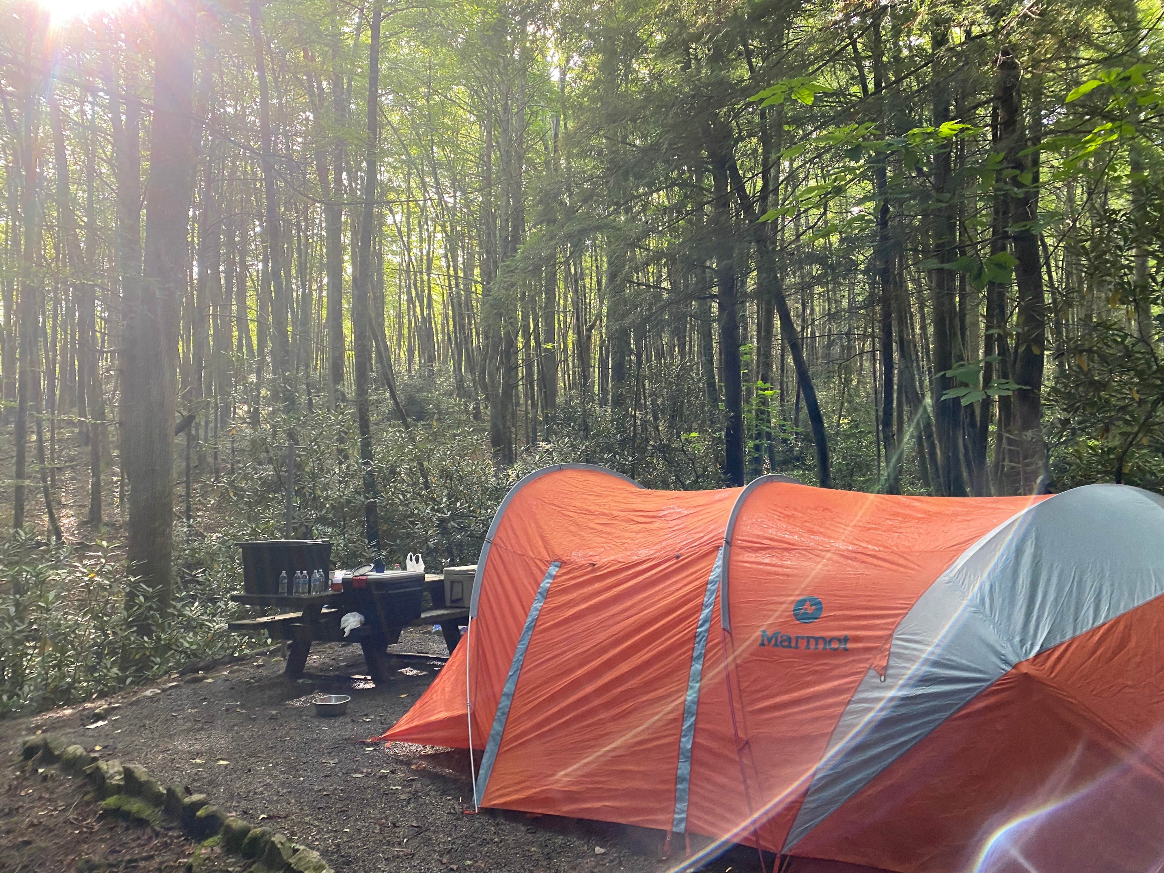 Camper submitted image from Jefferson National Forest Beartree Campground - 5