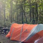 Review photo of Jefferson National Forest Beartree Campground by Matthew , September 5, 2020