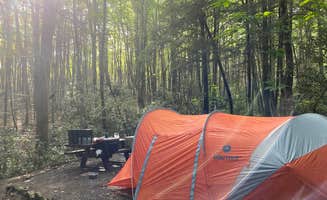 Matthew's photo at Jefferson National Forest Beartree Campground near Rosedale, VA