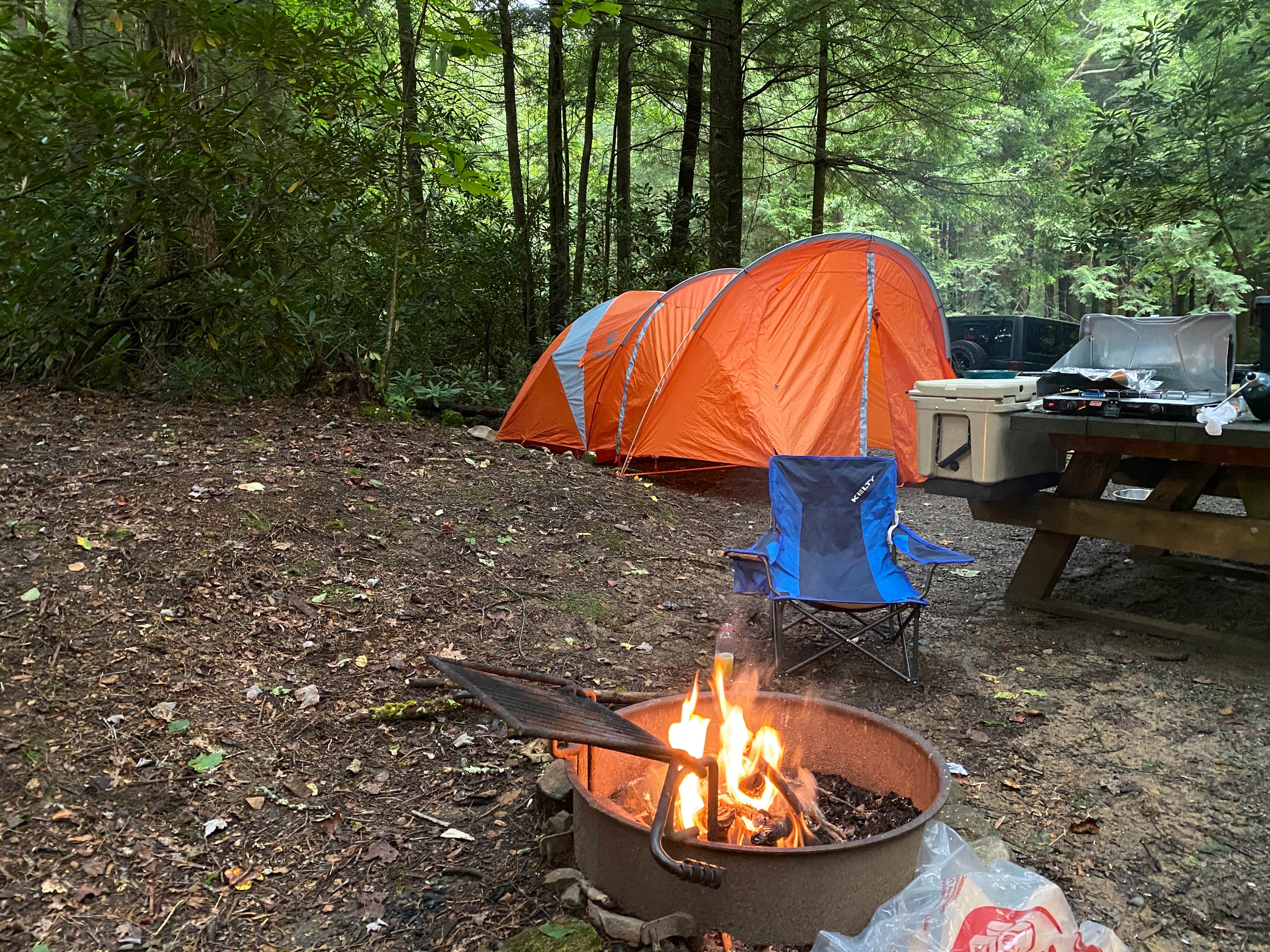Matthew's photo at Beartree Recreation Area near Laurel Bloomery, TN